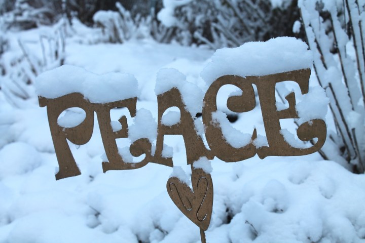 a metal sign reading Peace is covered in snow