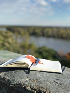 journal on a stone ledge above the Mississippi River