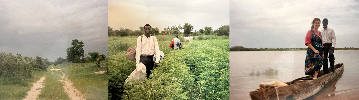 three scenes from the African bush south of the Sahara Desert