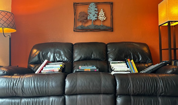 a couch with piles of books about AI and trees
